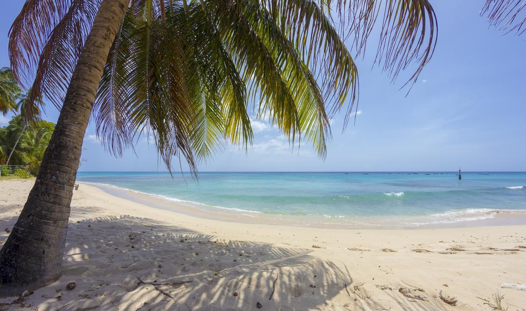 Lantana Barbados Condos Saint James Pokoj fotografie